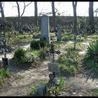 Friedhof  der Namenslosen - vielleicht gibts dies auch in anderen ländern?