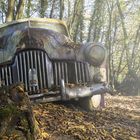 Friedhof der Oldtimer 2