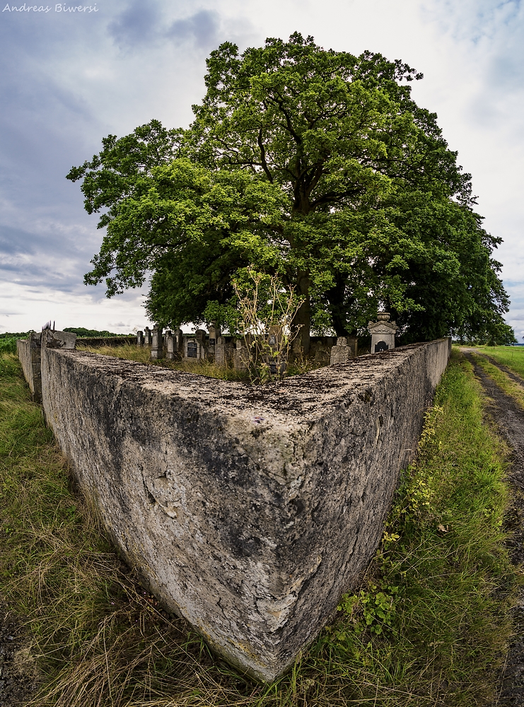 Friedhof der vergessene Seelen