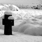 Friedhof der vergessenen Seelen