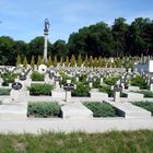 Friedhof der Verteidiger von Lviv