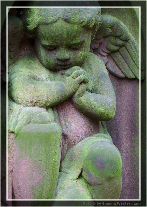 Friedhof Dresden - Engel 05