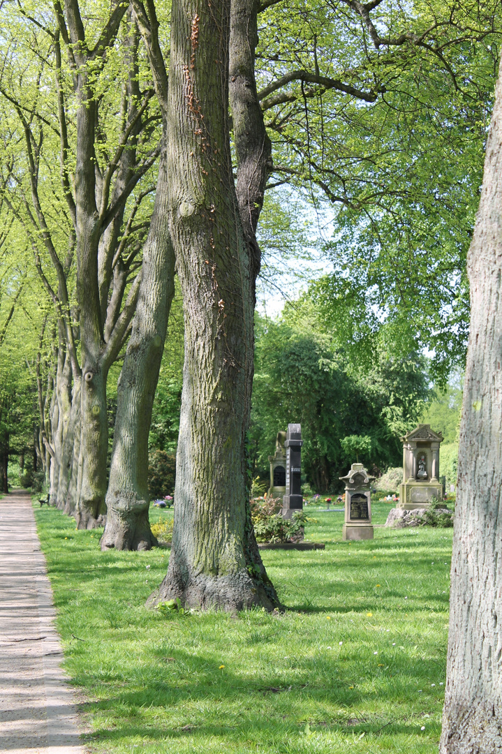 Friedhof