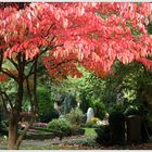 Friedhof & Farben