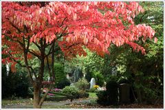 Friedhof & Farben