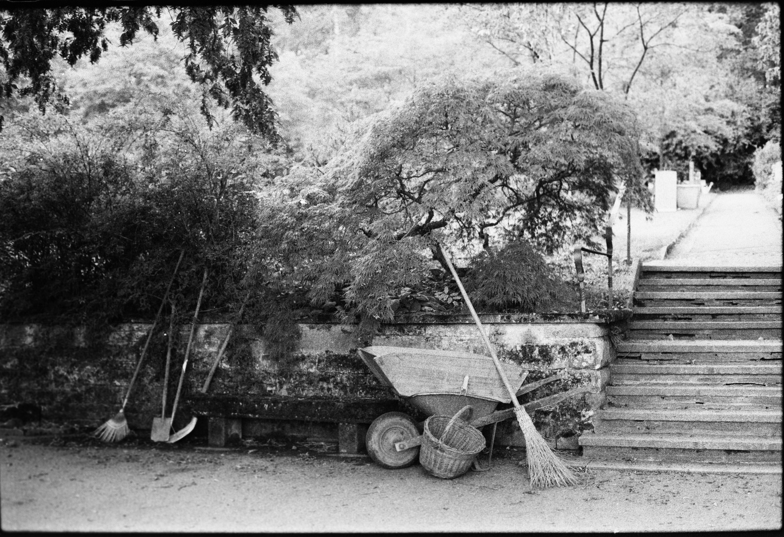 Friedhof Fluntern