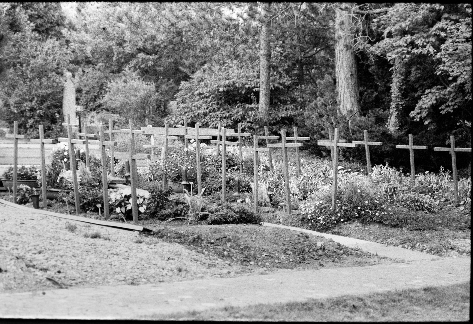 Friedhof Fluntern