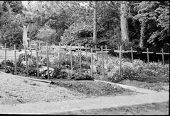 Friedhof Fluntern