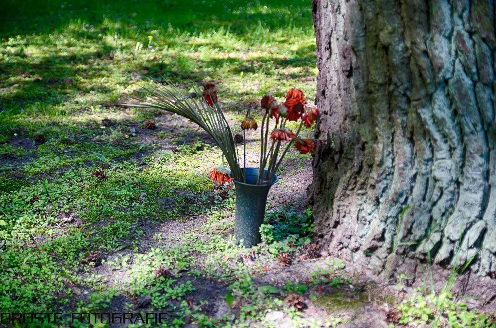 Friedhof-Fotografie 05