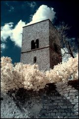 Friedhof Freinsheim