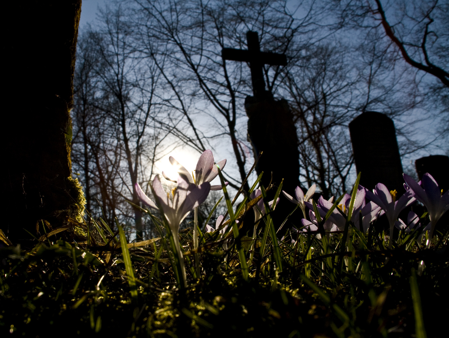 Friedhof Frühling