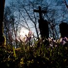 Friedhof Frühling