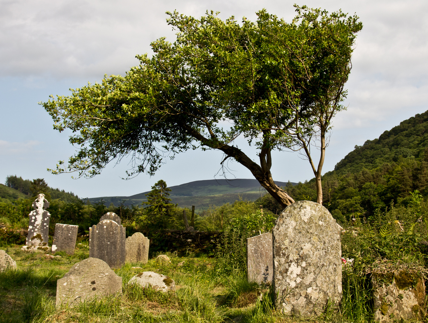 Friedhof Glendalough