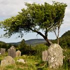 Friedhof Glendalough