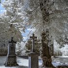 Friedhof Golzheim