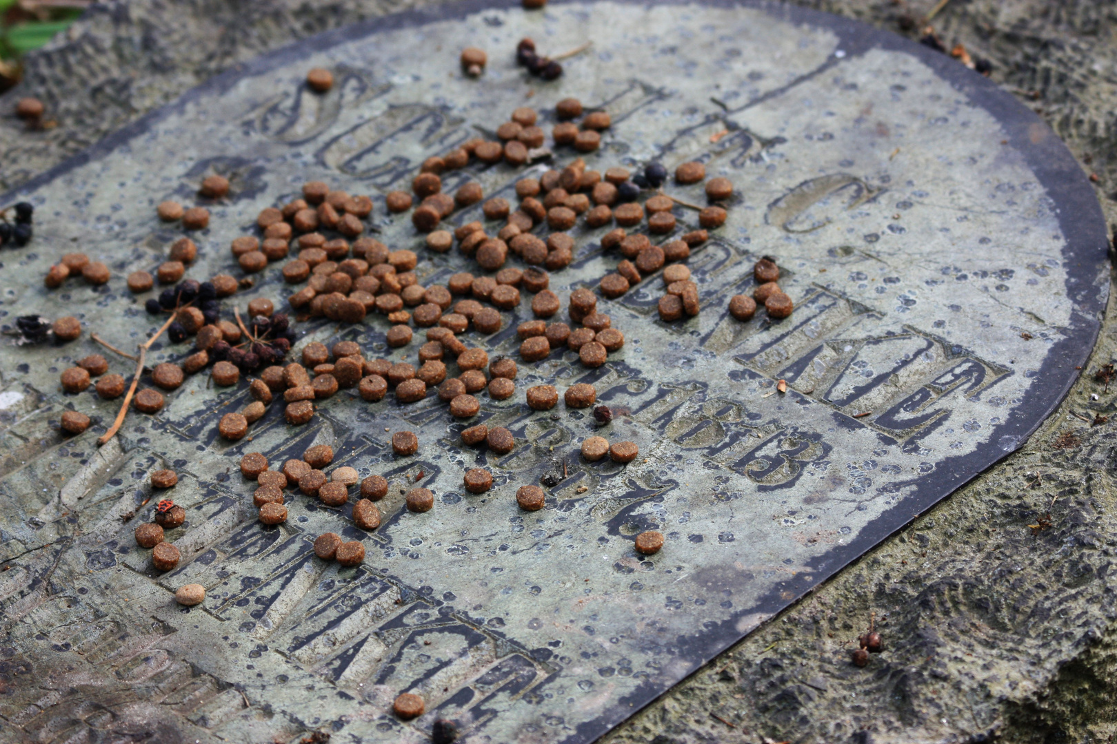 Friedhof Goslarsche Straße Braunschweig III