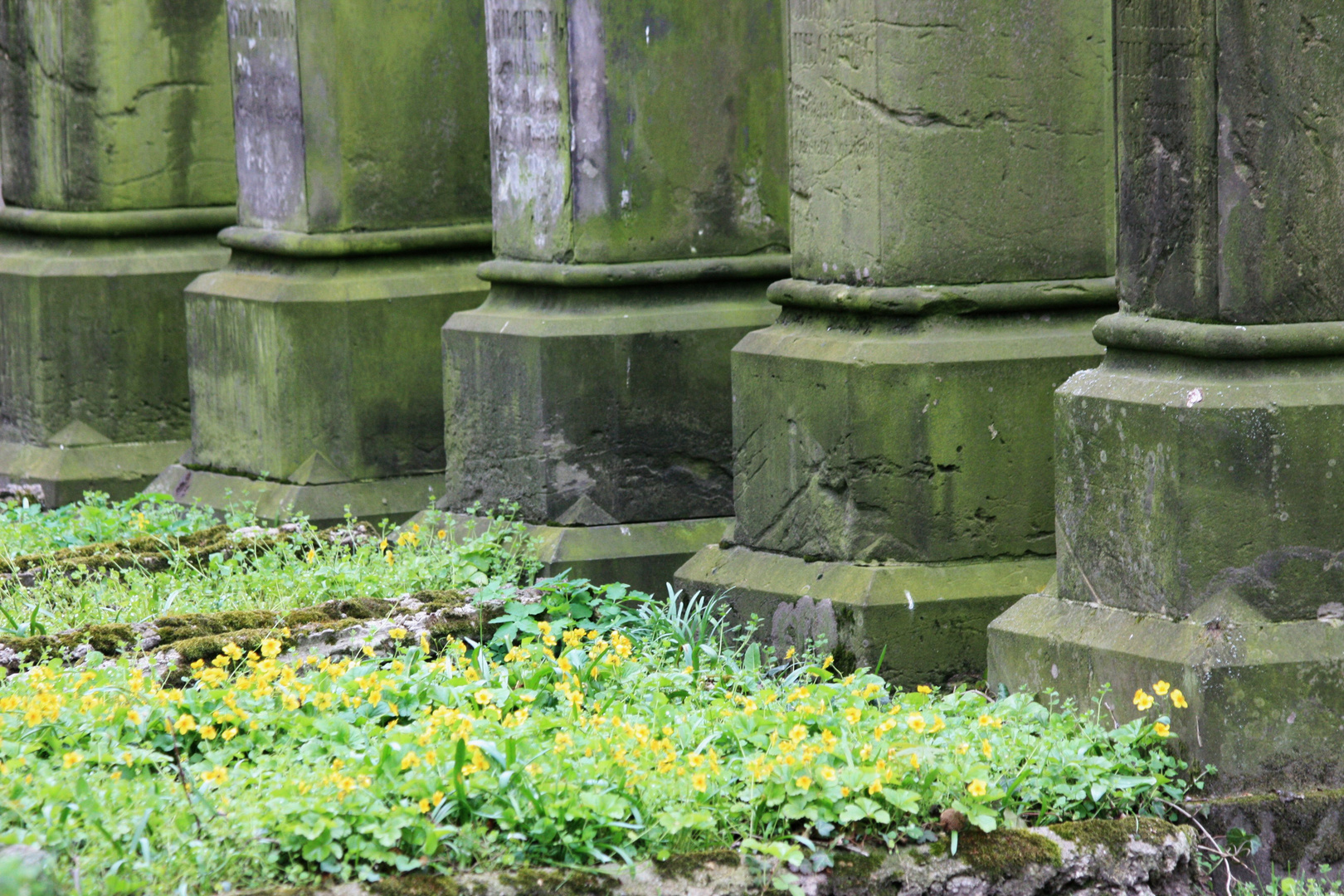 Friedhof Goslarsche Straße Braunschweig VI