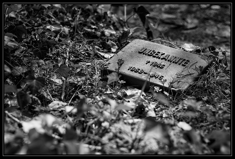 Friedhof Grunewald Forst - 1