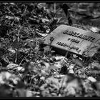 Friedhof Grunewald Forst - 1