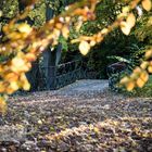 Friedhof Hamburg Ohlsdorf