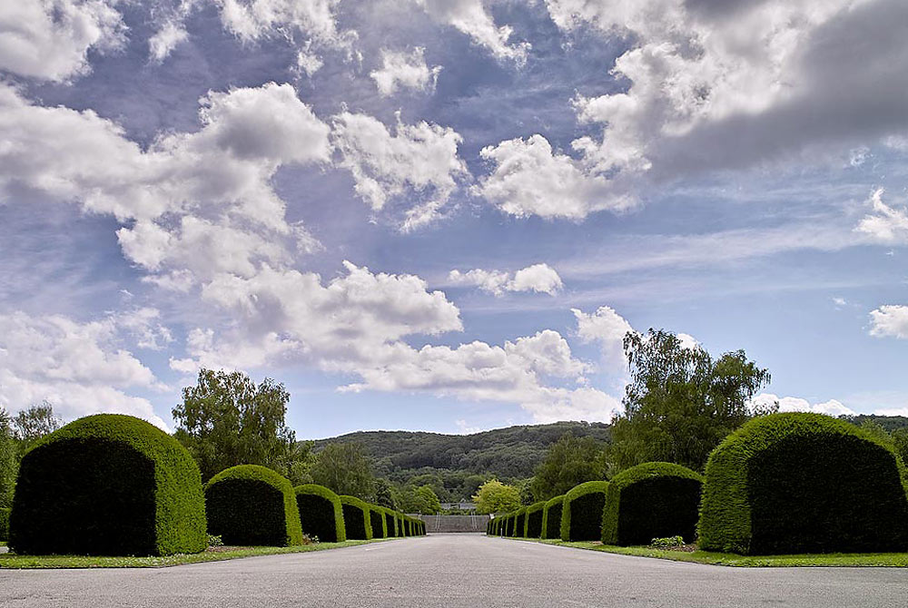 Friedhof Hörnli/Basel