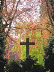 Friedhof im Frühjahr