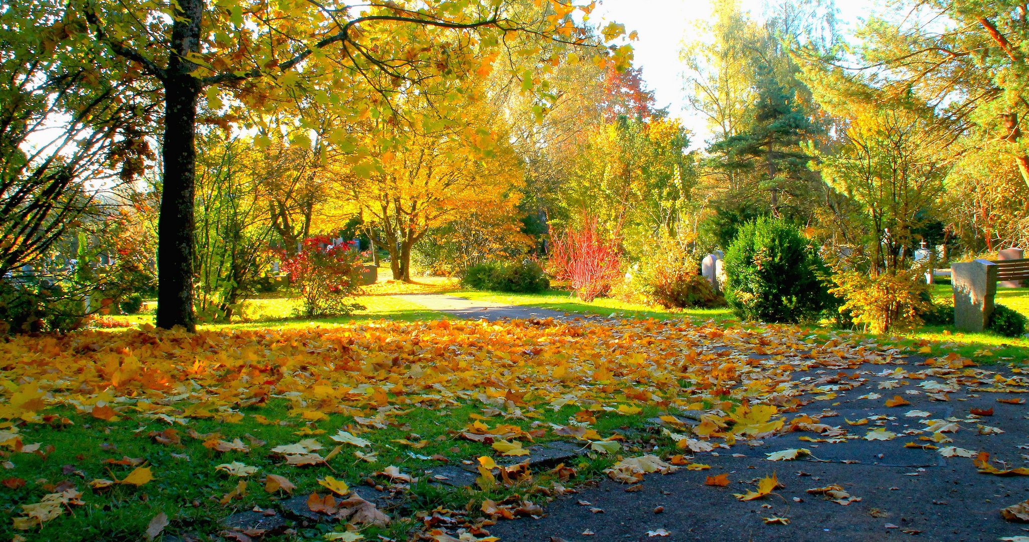 Friedhof im Herbst