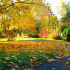 Friedhof im Herbst