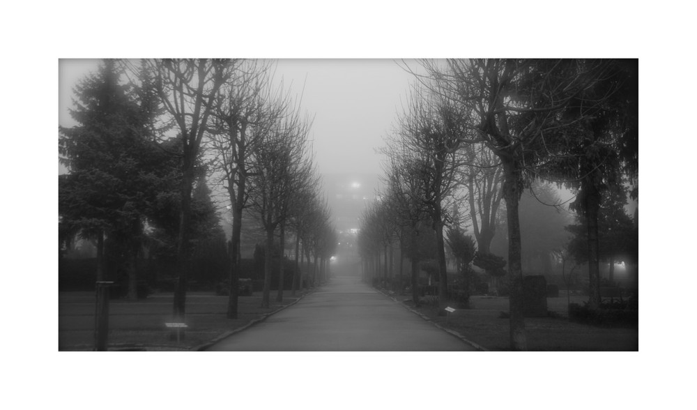 Friedhof im Nebel