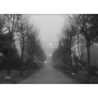 Friedhof im Nebel