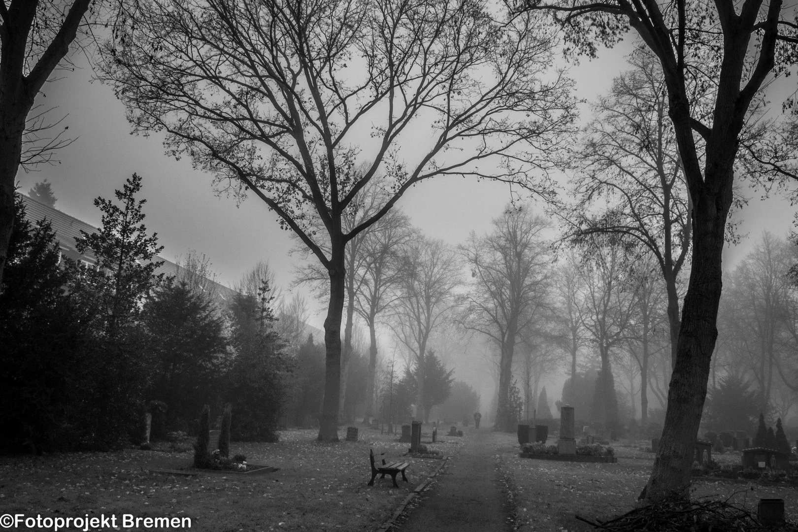 Friedhof im Nebel