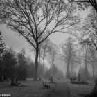 Friedhof im Nebel