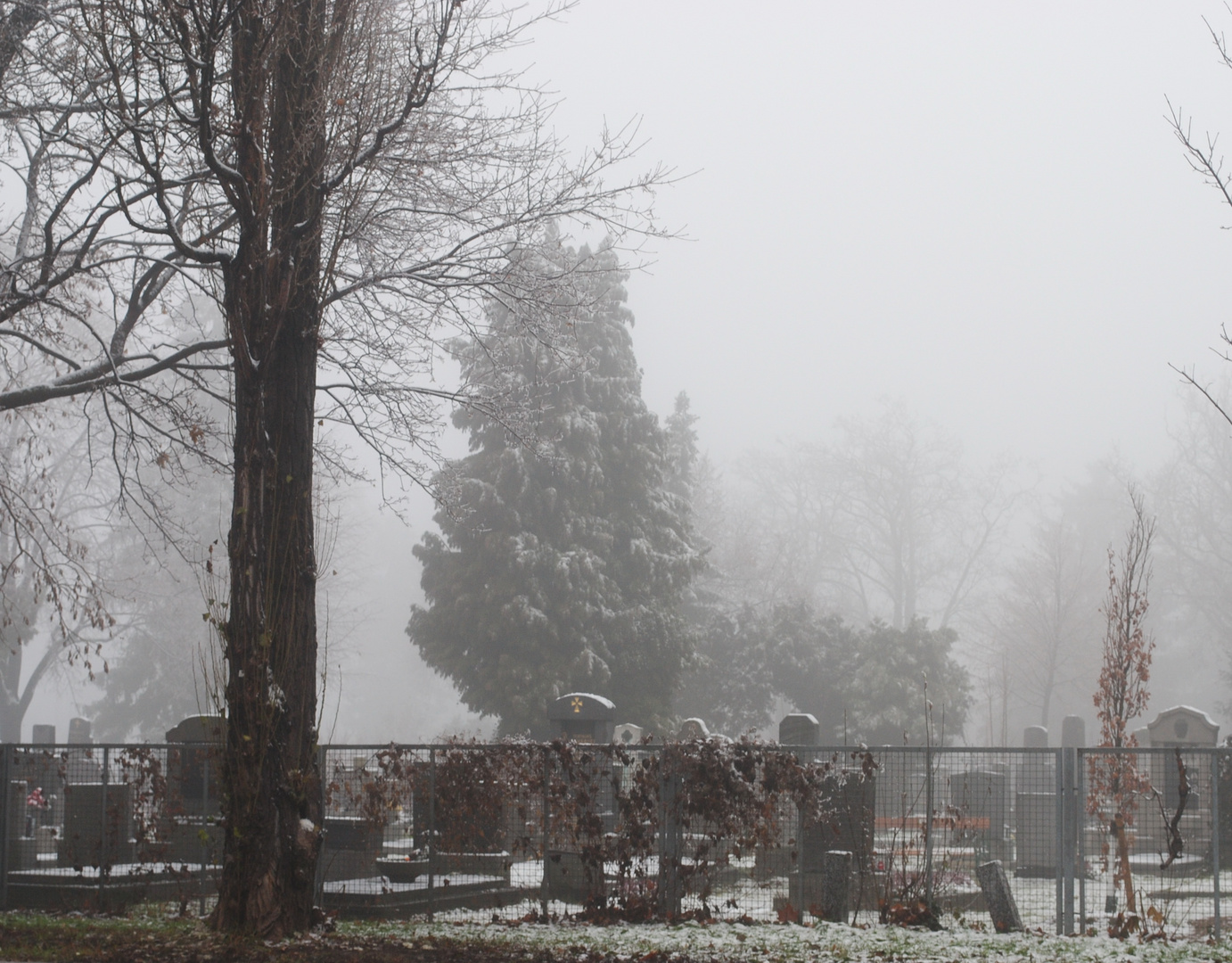 Friedhof im Nebel