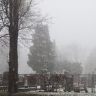 Friedhof im Nebel