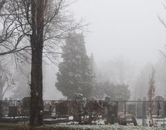 Friedhof im Nebel