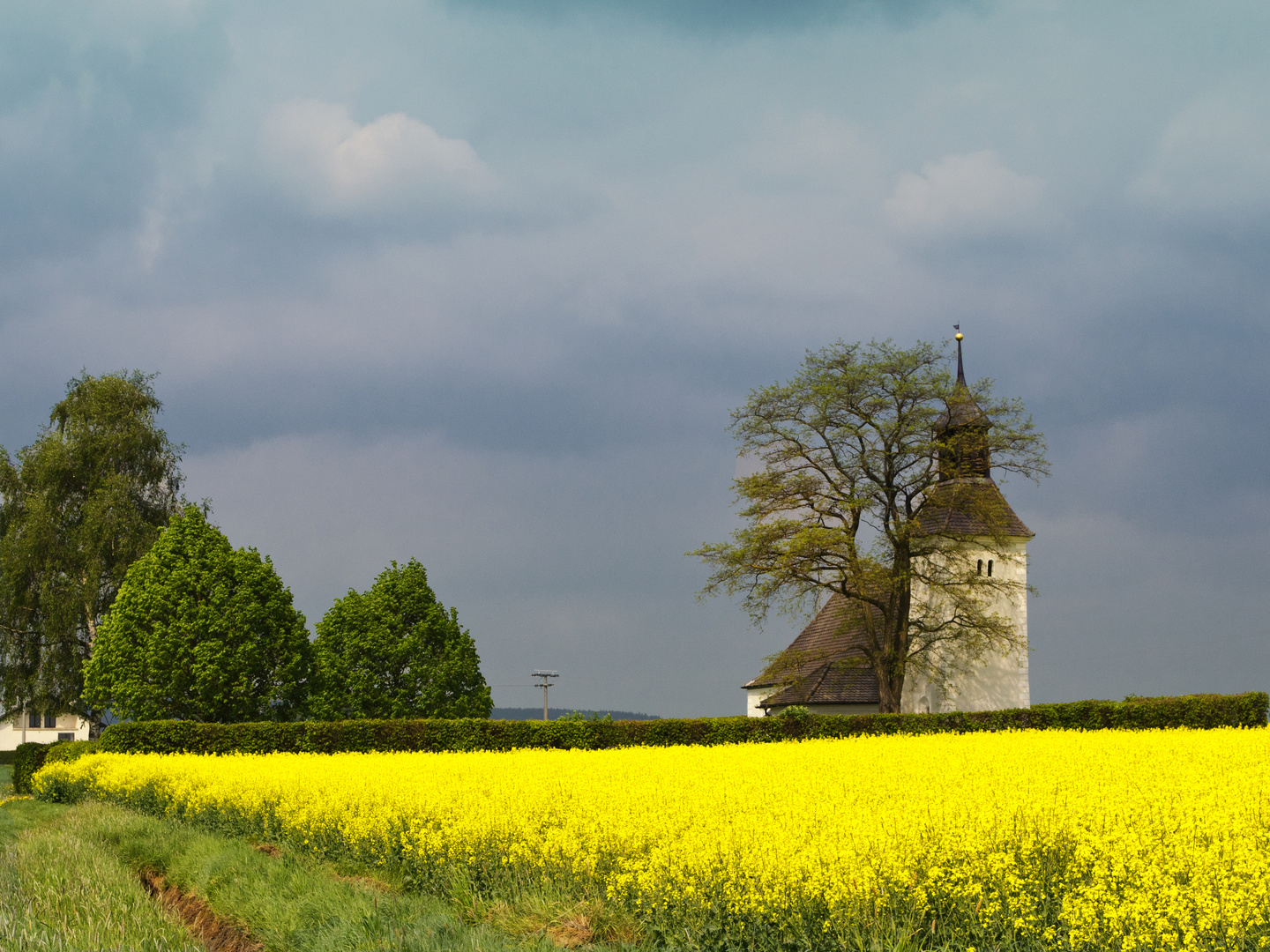 Friedhof im Rapsfeld