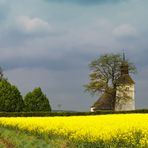 Friedhof im Rapsfeld