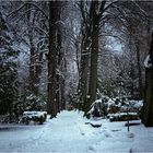 Friedhof im Schnee...