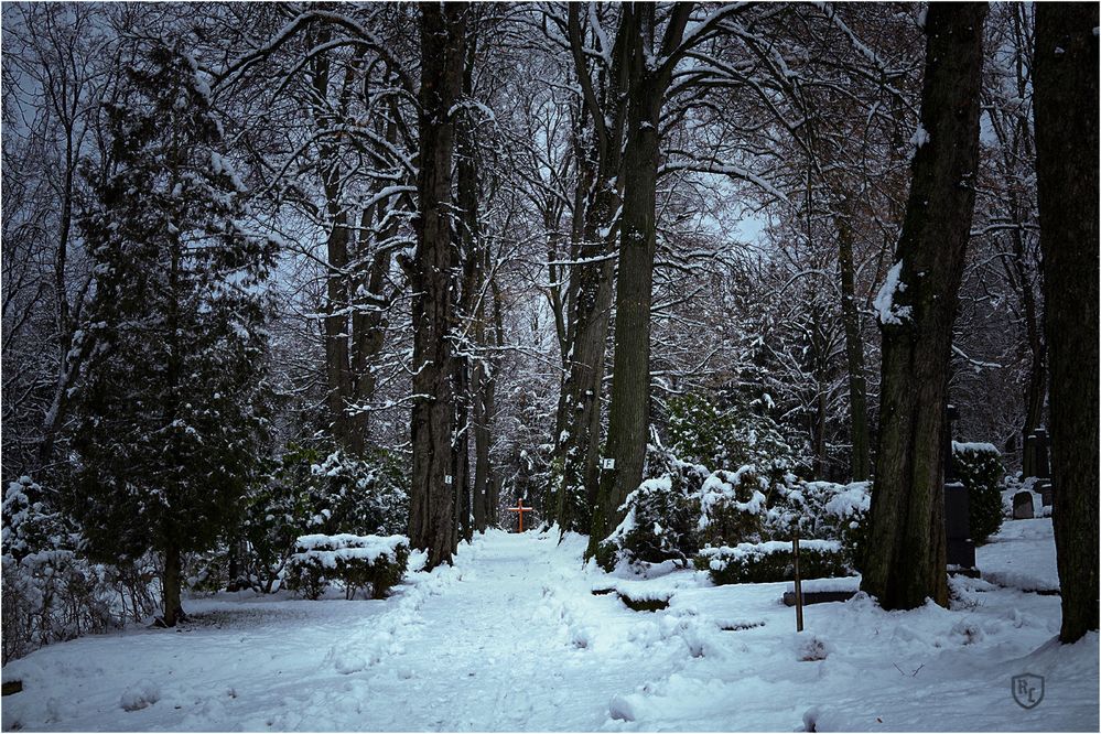 Friedhof im Schnee...