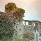 Friedhof im Scotland