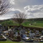 Friedhof im Taunus