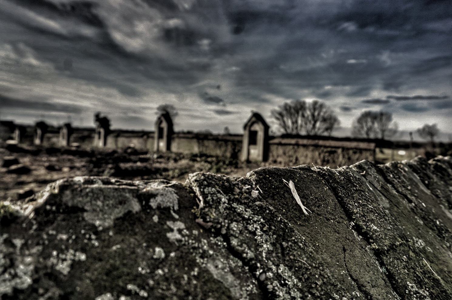 Friedhof im Umzug