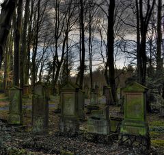 Friedhof im Wald