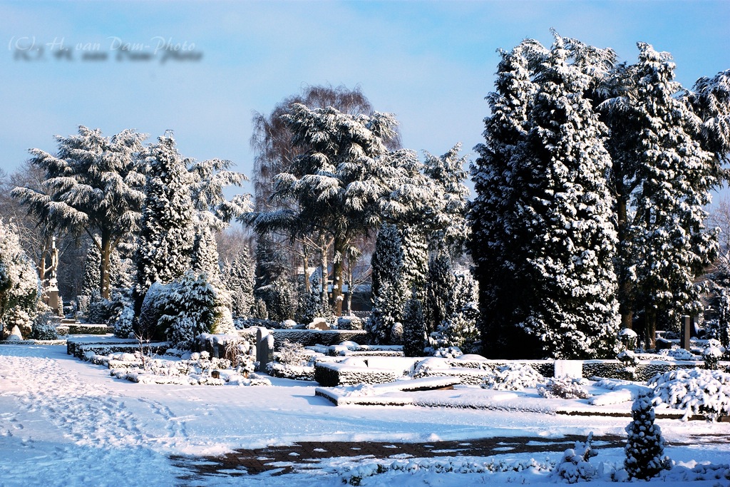 Friedhof im Winter