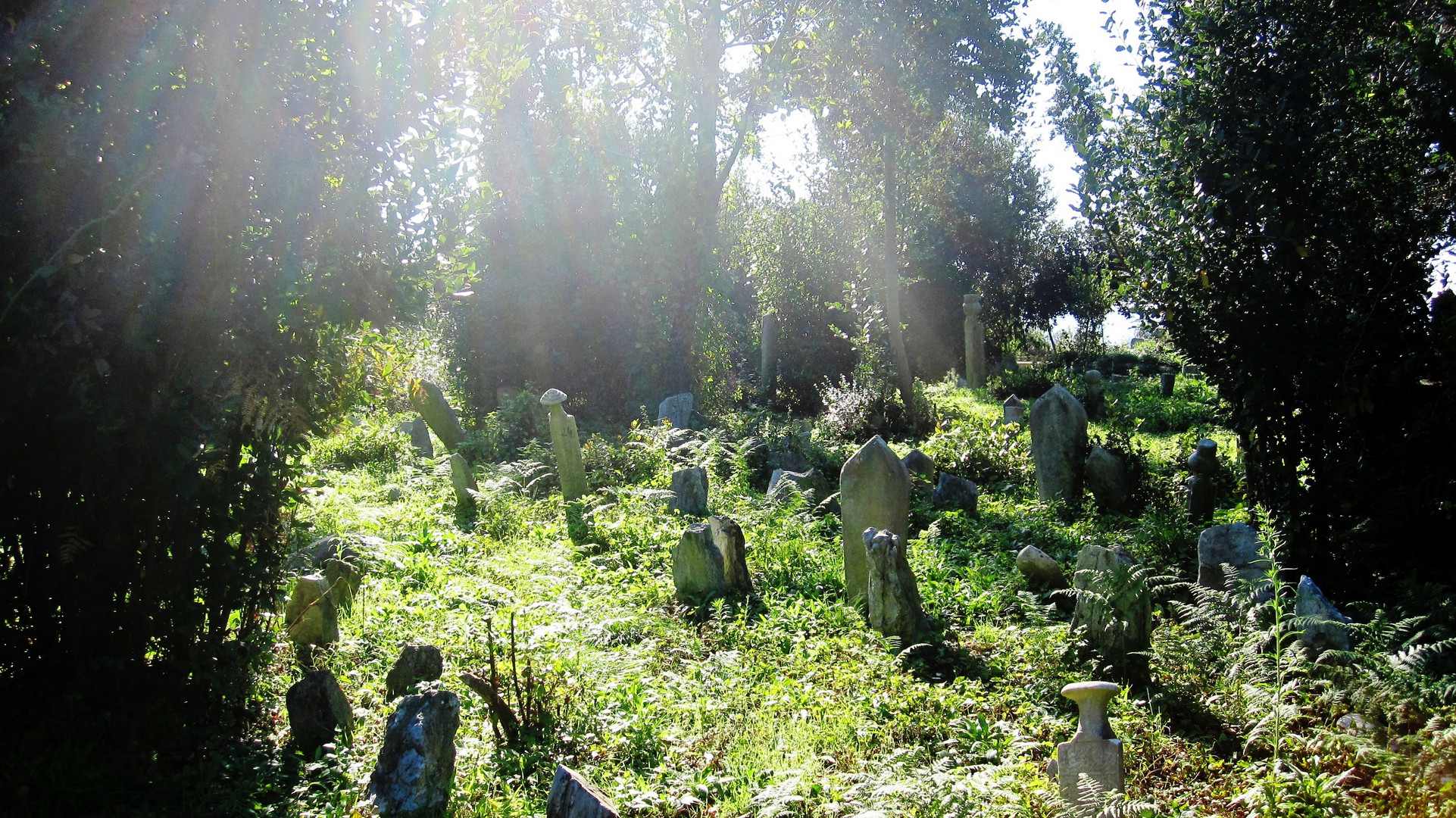 Friedhof in Anadolu Kavagi