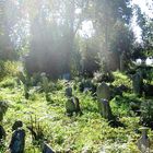 Friedhof in Anadolu Kavagi