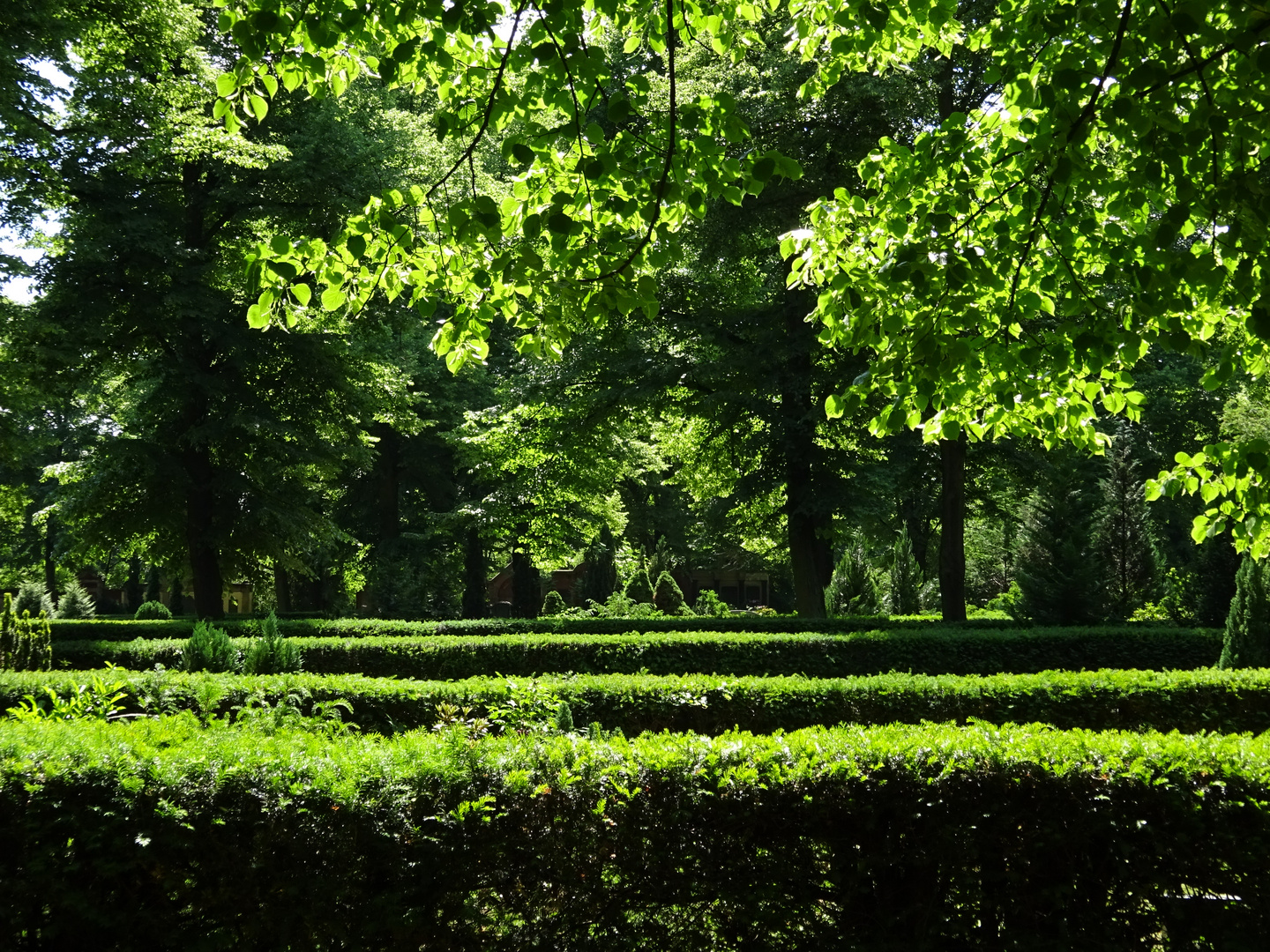 Friedhof in Berlin-Neukölln