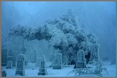 Friedhof in Böhmisch-Zinnwald