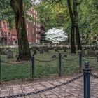 Friedhof in Boston