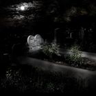 Friedhof in der Nacht ......